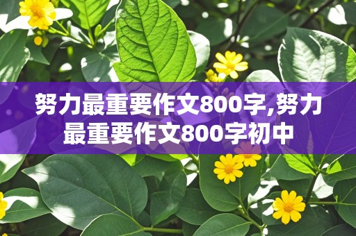 努力最重要作文800字,努力最重要作文800字初中