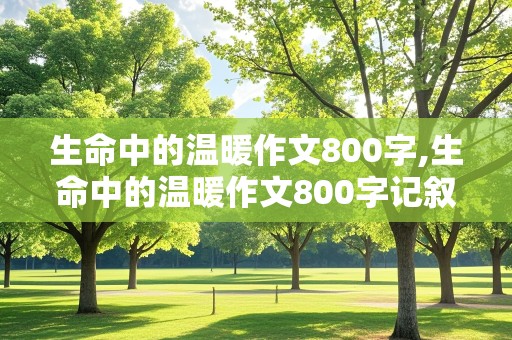 生命中的温暖作文800字,生命中的温暖作文800字记叙文