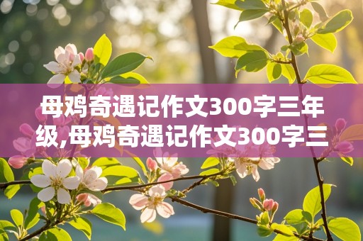 母鸡奇遇记作文300字三年级,母鸡奇遇记作文300字三年级下册