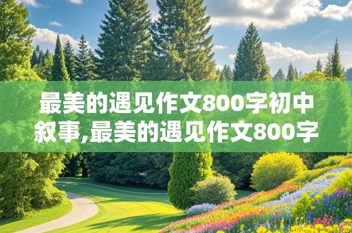 最美的遇见作文800字初中叙事,最美的遇见作文800字初中叙事朋友