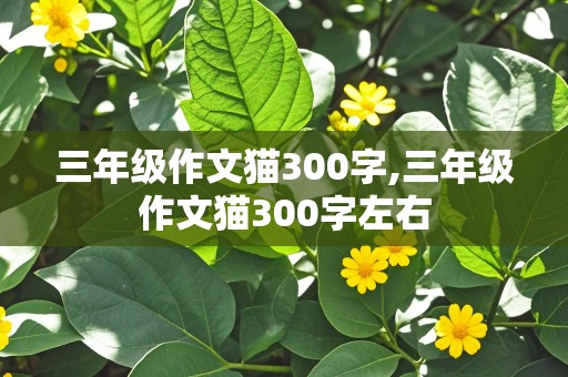 三年级作文猫300字,三年级作文猫300字左右