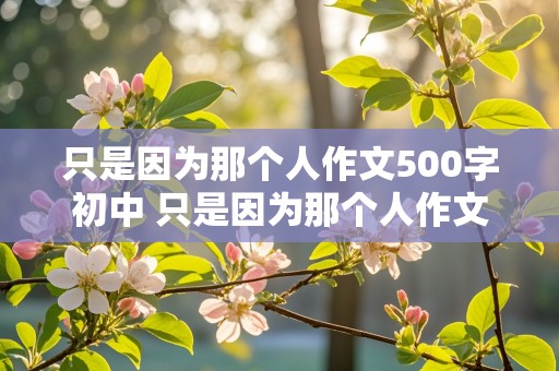 只是因为那个人作文500字初中 只是因为那个人作文500字初一