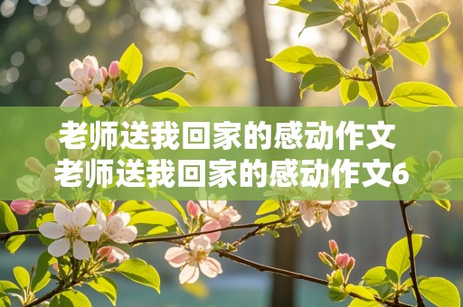 老师送我回家的感动作文 老师送我回家的感动作文600字