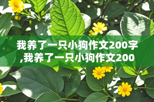 我养了一只小狗作文200字,我养了一只小狗作文200字怎么写