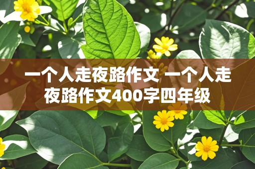 一个人走夜路作文 一个人走夜路作文400字四年级