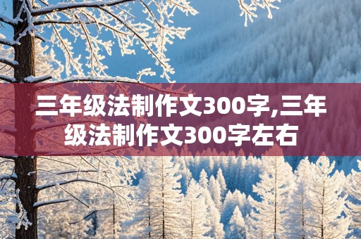 三年级法制作文300字,三年级法制作文300字左右