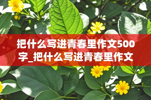 把什么写进青春里作文500字_把什么写进青春里作文500字初中