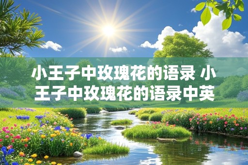 小王子中玫瑰花的语录 小王子中玫瑰花的语录中英