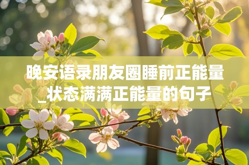 晚安语录朋友圈睡前正能量_状态满满正能量的句子