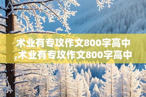 术业有专攻作文800字高中,术业有专攻作文800字高中议论文