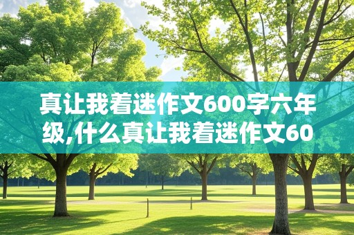 真让我着迷作文600字六年级,什么真让我着迷作文600字六年级