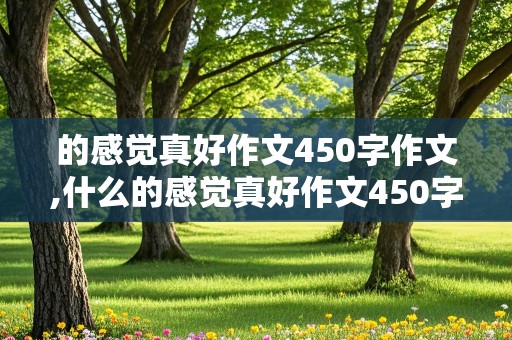 的感觉真好作文450字作文,什么的感觉真好作文450字作文