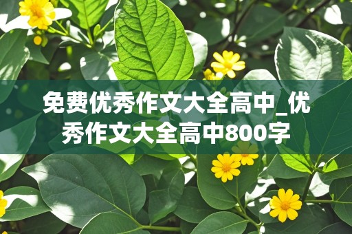 免费优秀作文大全高中_优秀作文大全高中800字