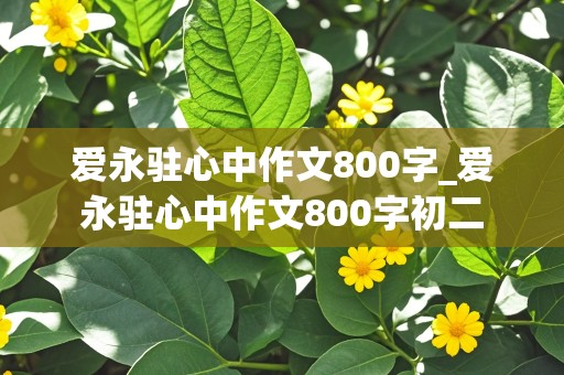 爱永驻心中作文800字_爱永驻心中作文800字初二