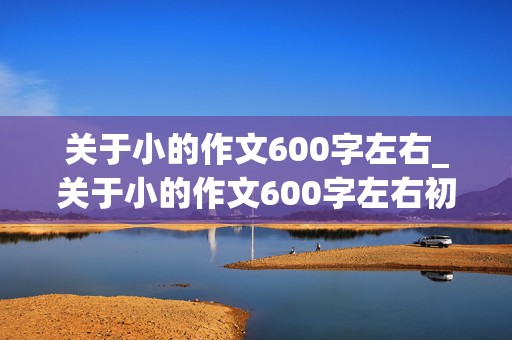 关于小的作文600字左右_关于小的作文600字左右初三