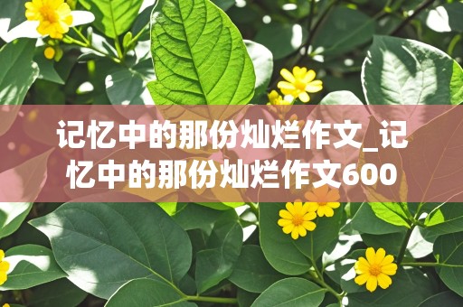 记忆中的那份灿烂作文_记忆中的那份灿烂作文600