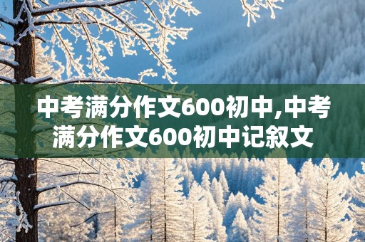 中考满分作文600初中,中考满分作文600初中记叙文