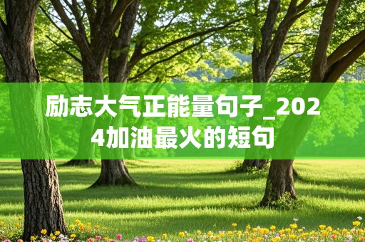 励志大气正能量句子_2024加油最火的短句