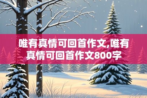 唯有真情可回首作文,唯有真情可回首作文800字