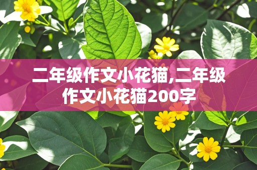 二年级作文小花猫,二年级作文小花猫200字