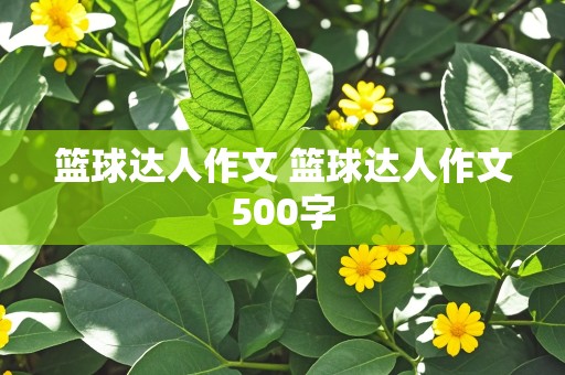 篮球达人作文 篮球达人作文500字