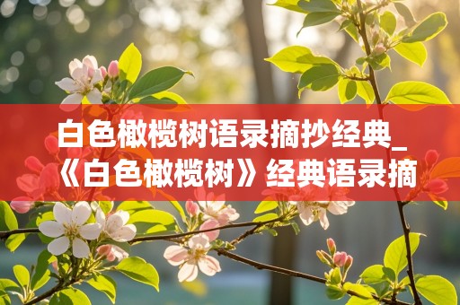 白色橄榄树语录摘抄经典_《白色橄榄树》经典语录摘抄