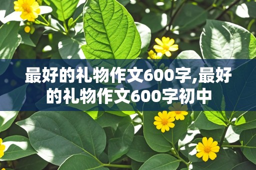 最好的礼物作文600字,最好的礼物作文600字初中