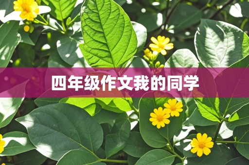 四年级作文我的同学