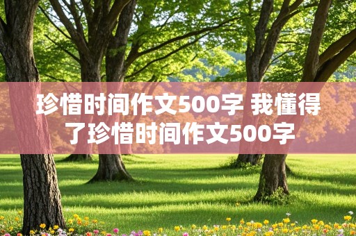 珍惜时间作文500字 我懂得了珍惜时间作文500字