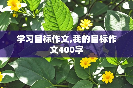 学习目标作文,我的目标作文400字