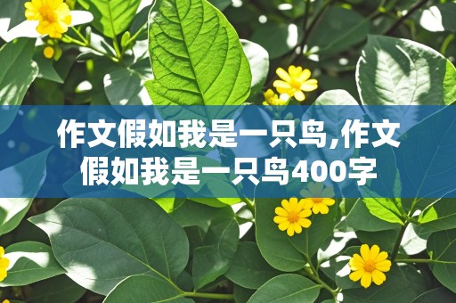 作文假如我是一只鸟,作文假如我是一只鸟400字