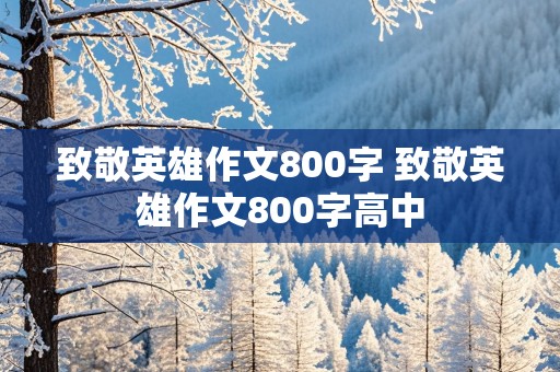 致敬英雄作文800字 致敬英雄作文800字高中