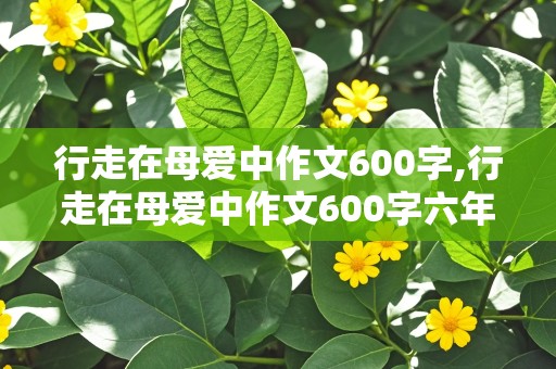 行走在母爱中作文600字,行走在母爱中作文600字六年级