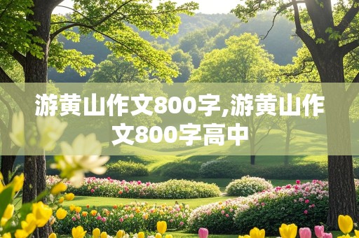 游黄山作文800字,游黄山作文800字高中