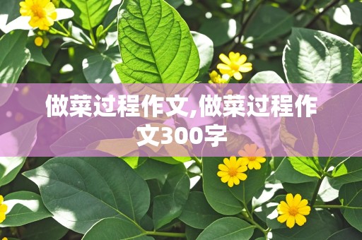 做菜过程作文,做菜过程作文300字