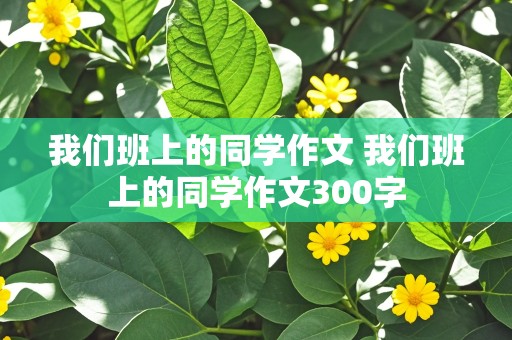 我们班上的同学作文 我们班上的同学作文300字