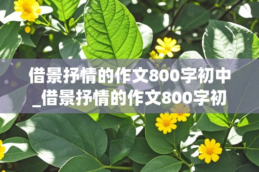 借景抒情的作文800字初中_借景抒情的作文800字初中作文