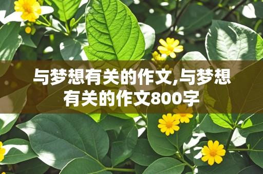 与梦想有关的作文,与梦想有关的作文800字