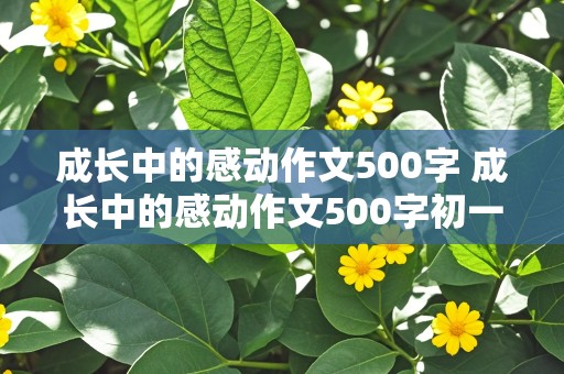 成长中的感动作文500字 成长中的感动作文500字初一