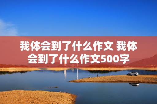 我体会到了什么作文 我体会到了什么作文500字