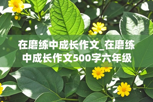 在磨练中成长作文_在磨练中成长作文500字六年级