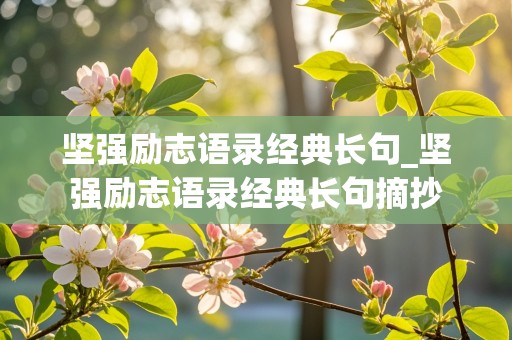 坚强励志语录经典长句_坚强励志语录经典长句摘抄