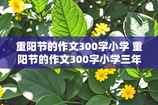 重阳节的作文300字小学 重阳节的作文300字小学三年级