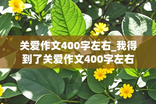 关爱作文400字左右_我得到了关爱作文400字左右