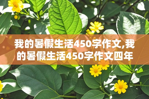 我的暑假生活450字作文,我的暑假生活450字作文四年级