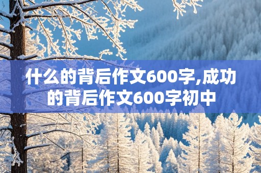 什么的背后作文600字,成功的背后作文600字初中