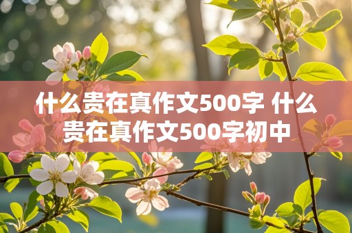 什么贵在真作文500字 什么贵在真作文500字初中