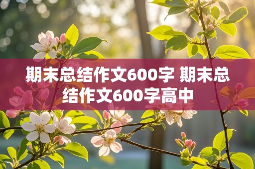 期末总结作文600字 期末总结作文600字高中