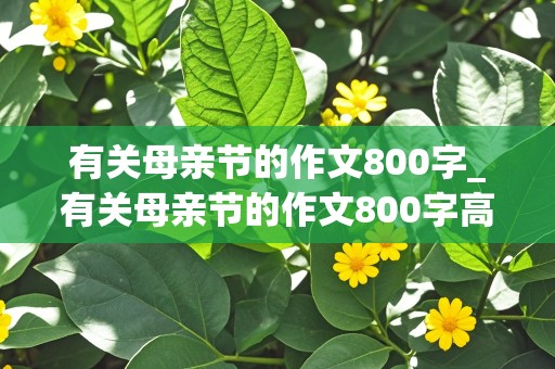 有关母亲节的作文800字_有关母亲节的作文800字高中