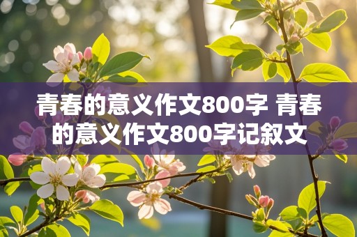 青春的意义作文800字 青春的意义作文800字记叙文